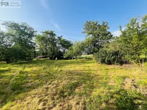 Pronájem rodinného domu, Palkovice, 200 m2