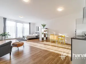 Pronájem bytu 1+kk, Olomouc, Dlouhá, 50 m2