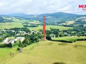 Prodej louky, Bartošovice v Orlických horách, 22170 m2