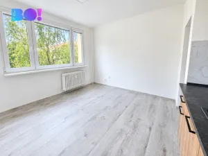 Pronájem bytu 1+kk, Frýdek-Místek, 28. října, 22 m2