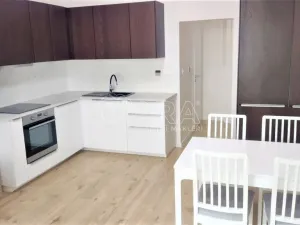 Pronájem bytu 2+kk, Praha - Holešovice, Jirečkova, 48 m2