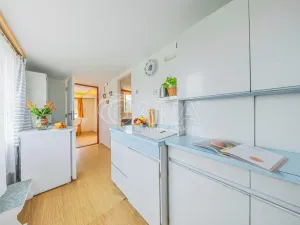 Prodej chaty, Nižbor - Stradonice, 37 m2