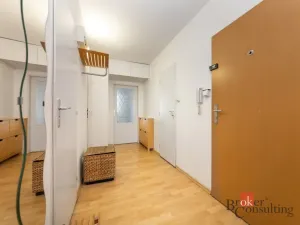 Pronájem bytu 2+1, Brno - Staré Brno, Křídlovická, 54 m2