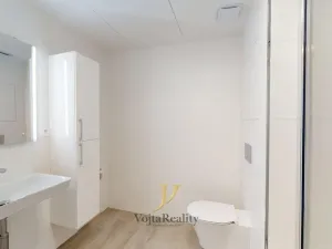 Pronájem bytu 1+kk, Olomouc, Třída Jiřího Pelikána, 33 m2