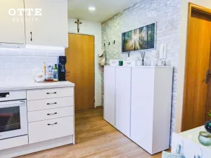 Prodej bytu 3+1, Plzeň, Raisova, 61 m2