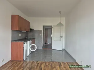 Pronájem bytu 1+kk, Praha - Vysočany, Freyova, 23 m2