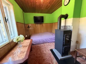 Prodej chaty, Zábřeh - Pivonín, 60 m2
