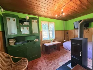 Prodej chaty, Zábřeh - Pivonín, 60 m2