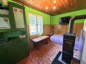 Prodej chaty, Zábřeh - Pivonín, 60 m2