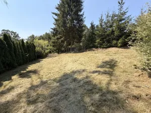 Prodej chaty, Zábřeh - Pivonín, 60 m2