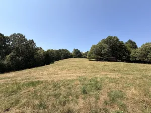 Prodej chaty, Zábřeh - Pivonín, 60 m2
