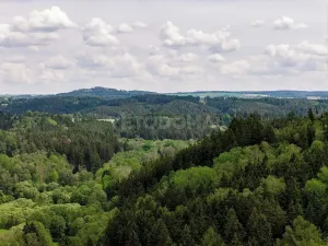 Prodej pozemku pro bydlení, Bezdružice, Úterská, 2000 m2