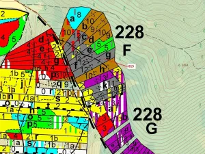 Dražba lesa, Rabí, 4478 m2