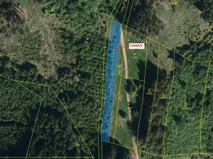 Dražba louky, Hovězí, 1344 m2