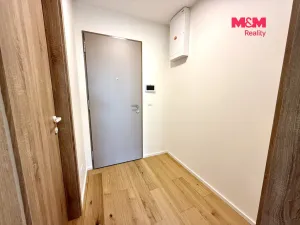 Pronájem bytu 1+kk, Brandýs nad Labem-Stará Boleslav - Brandýs nad Labem, Dřevčická, 41 m2