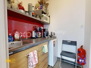 Pronájem obchodního prostoru, Uherské Hradiště, Otakarova, 48 m2