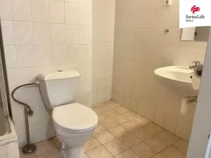 Prodej bytu 5+kk, Veselí nad Lužnicí - Veselí nad Lužnicí I, Podhájek, 163 m2