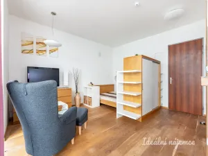 Pronájem bytu 1+kk, Praha - Vinohrady, Uruguayská, 47 m2