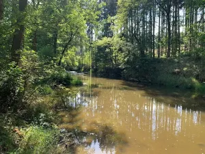Prodej chalupy, Střelice, 89 m2