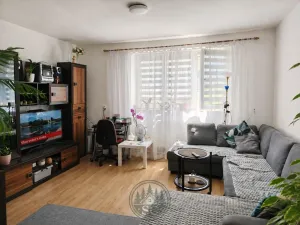 Pronájem bytu 2+1, Březová, Odborářů, 52 m2