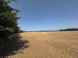 Prodej zahrady, Ořechov, 500 m2