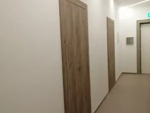 Pronájem bytu 1+1, Brno, Botanická, 37 m2