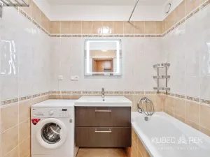 Prodej bytu 1+1, Tábor, Nad Obchvatem, 53 m2