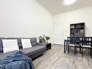 Pronájem bytu 2+kk, Brno, Obilní trh, 47 m2