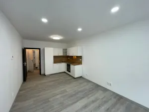 Pronájem bytu 1+kk, Brno - Zábrdovice, Francouzská, 29 m2