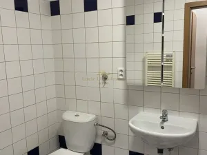 Prodej bytu 2+kk, Praha - Břevnov, Závěrka, 44 m2