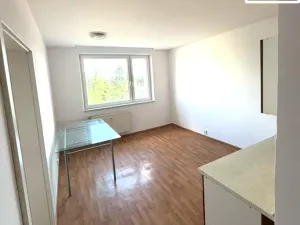 Pronájem bytu 1+1, Cheb, Dvořákova, 39 m2