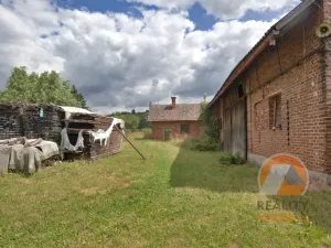 Prodej chalupy, Pecka - Bělá u Pecky, 140 m2