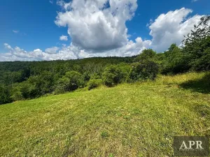 Prodej pozemku pro bydlení, Žítková, 6433 m2