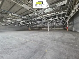 Pronájem skladu, Plzeň - Skvrňany, U Nové Hospody, 9800 m2