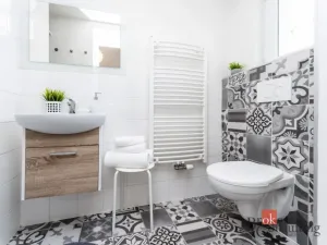 Pronájem bytu 1+kk, Albrechtice nad Orlicí, 1. máje, 30 m2