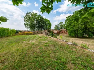 Prodej pozemku pro bydlení, Vlkovice, 4514 m2