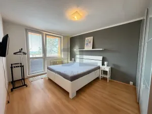 Pronájem bytu 3+1, Hodonín, Lesní, 73 m2