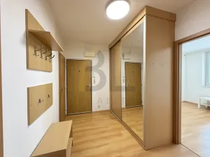 Pronájem bytu 3+1, Hodonín, Lesní, 73 m2