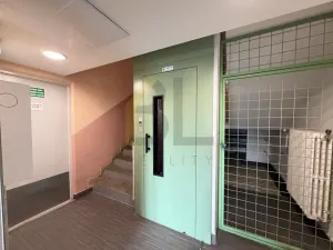Pronájem bytu 3+1, Hodonín, Lesní, 73 m2