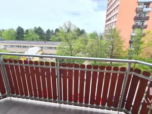 Prodej bytu 1+1, Brno, Loosova, 37 m2