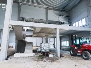 Pronájem skladu, Plzeň, Borská, 804 m2