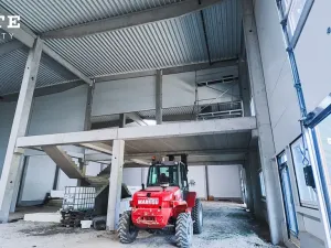 Pronájem skladu, Plzeň, Borská, 804 m2