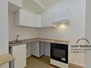 Pronájem bytu 1+1, Praha - Podolí, U Kublova, 41 m2