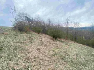 Dražba louky, Mírová pod Kozákovem, 1000 m2