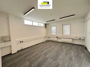 Pronájem obchodního prostoru, Nupaky, Komerční, 449 m2