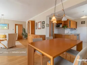 Prodej rodinného domu, Nepomuk, Na Vinici II., 311 m2