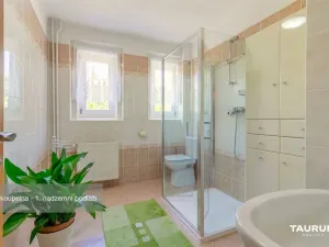 Prodej rodinného domu, Nepomuk, Na Vinici II., 311 m2