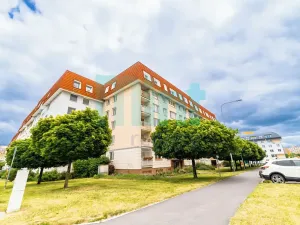 Prodej bytu 2+1, Ostrava, Dr. Šavrdy, 45 m2