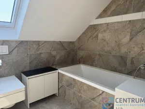 Pronájem bytu 1+1, Jenišovice, 37 m2