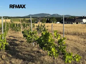 Prodej pozemku pro bydlení, Ivaň, 6921 m2